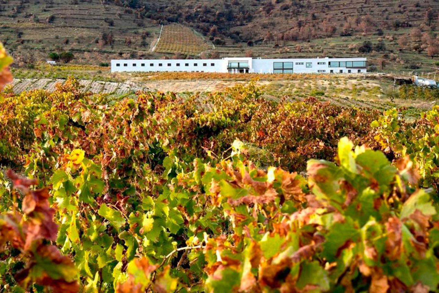 Hotel Tierras De Cebreros Eksteriør bilde
